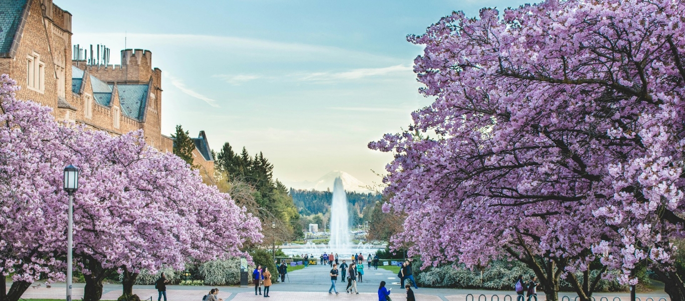 大学風景